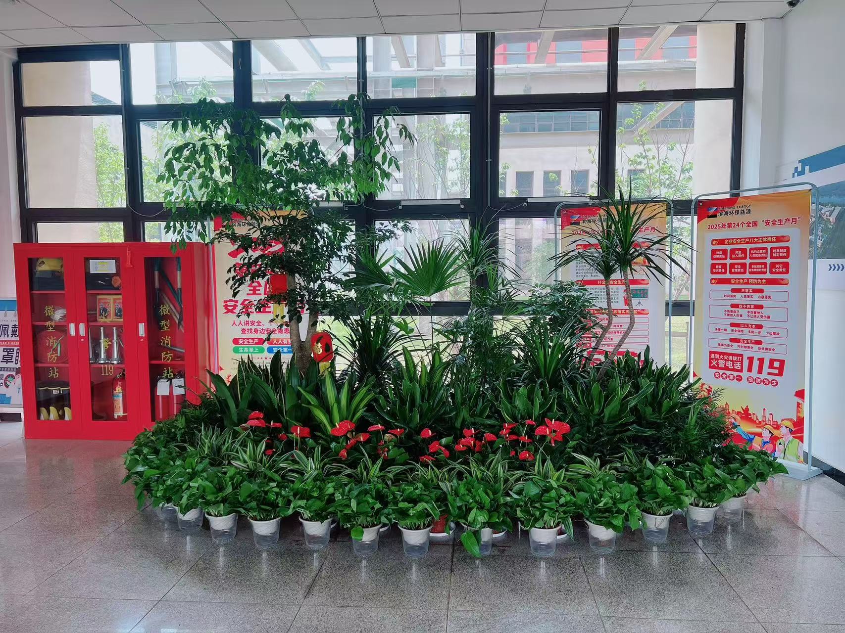 杭州湾花木租摆哪家强？这里有你要的答案！